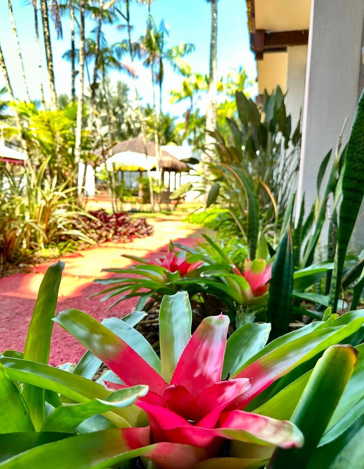 Hotel Casa Paradiso Guarujá Kültér fotó