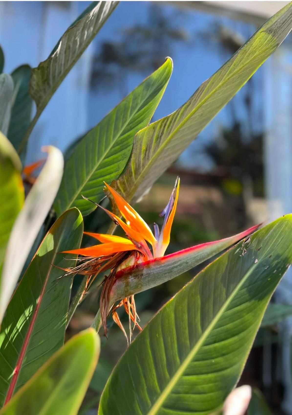 Hotel Casa Paradiso Guarujá Kültér fotó
